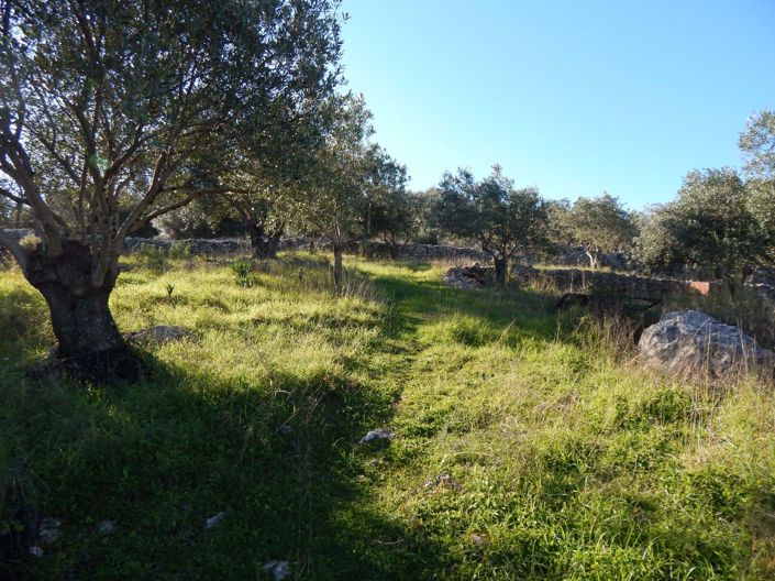 Image No.6-Land for sale