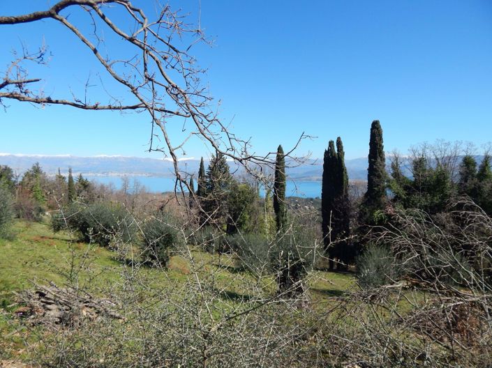 Image No.2-Land for sale