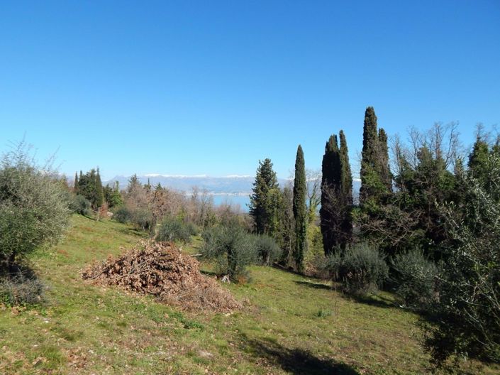 Image No.5-Land for sale