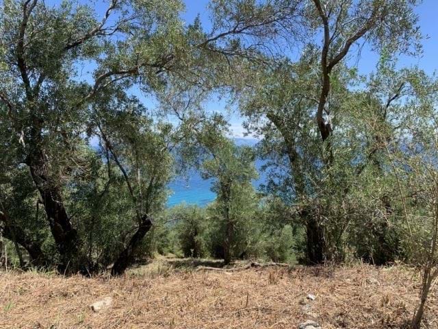 Image No.3-Land for sale