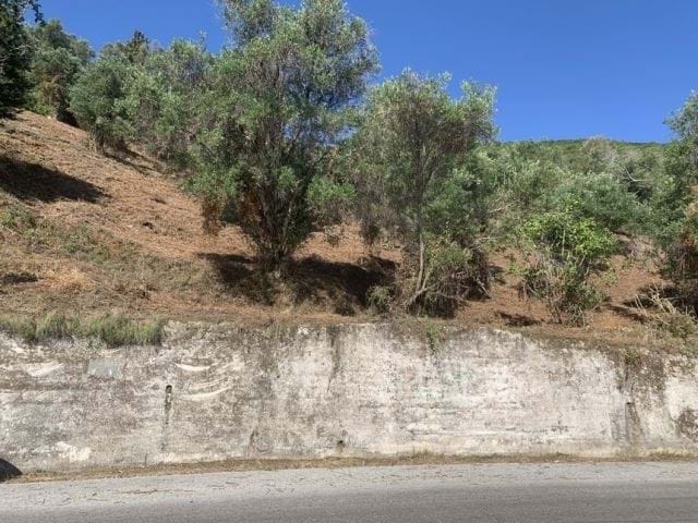 Image No.7-Land for sale