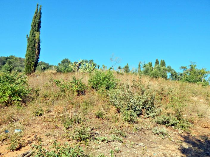 Image No.2-Land for sale