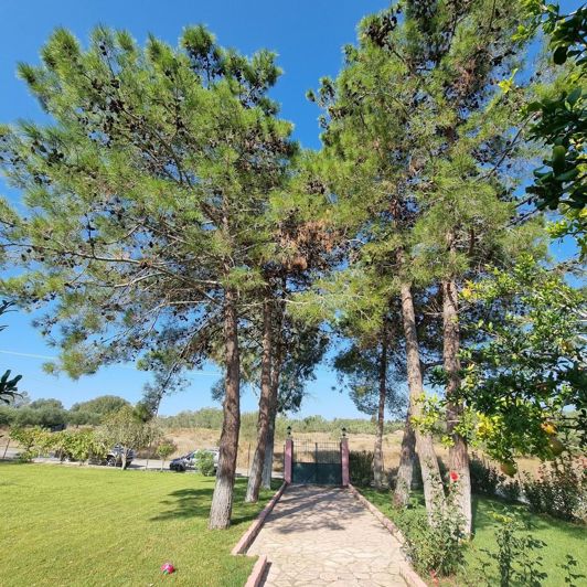 Image No.4-3 Bed House for sale