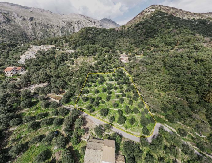 Image No.11-Land for sale