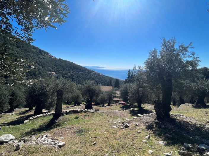 Image No.2-Land for sale