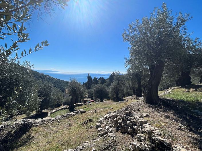 Image No.3-Land for sale