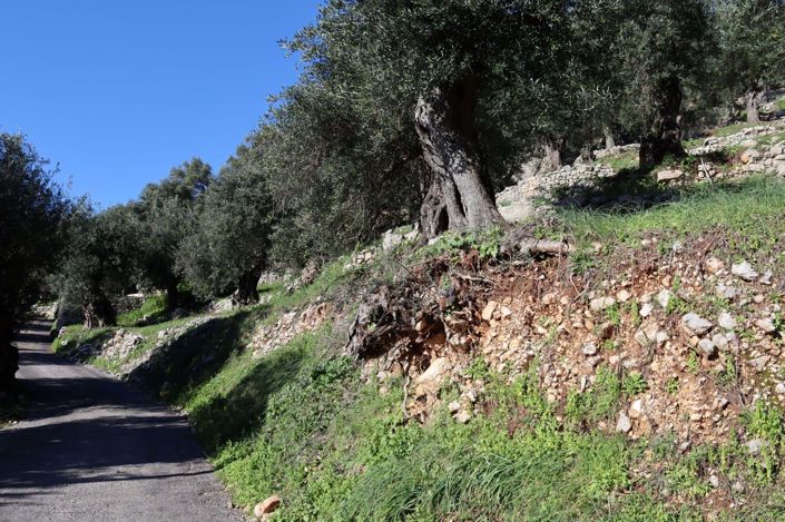 Image No.5-Land for sale