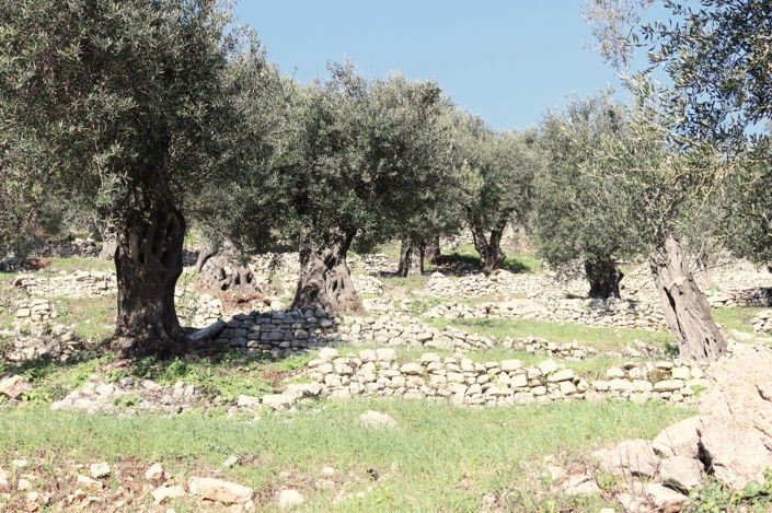 Image No.9-Land for sale