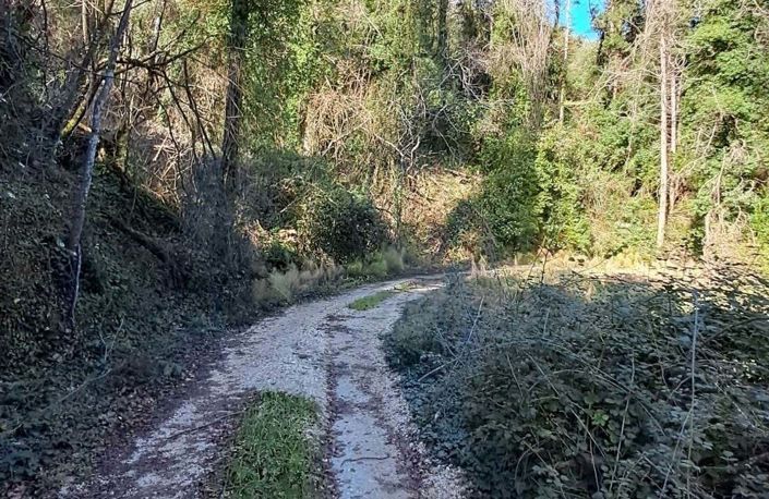 Image No.6-Land for sale