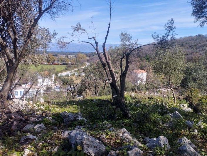 Image No.2-Land for sale