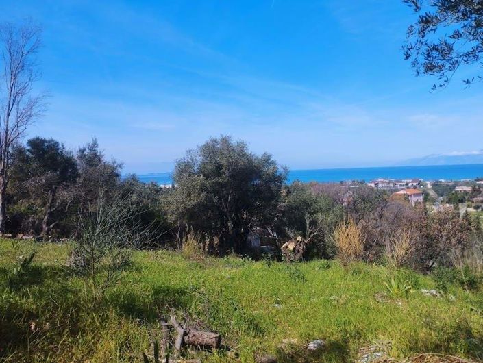 Image No.3-Land for sale