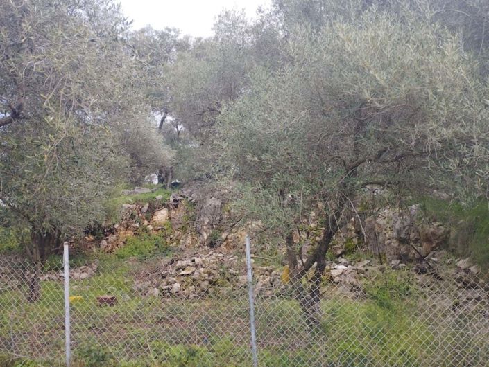 Image No.8-Terre à vendre à Kassiopi