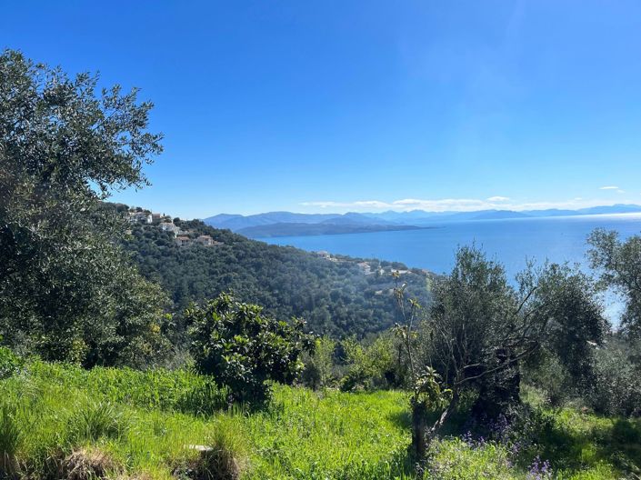 Image No.2-Land for sale