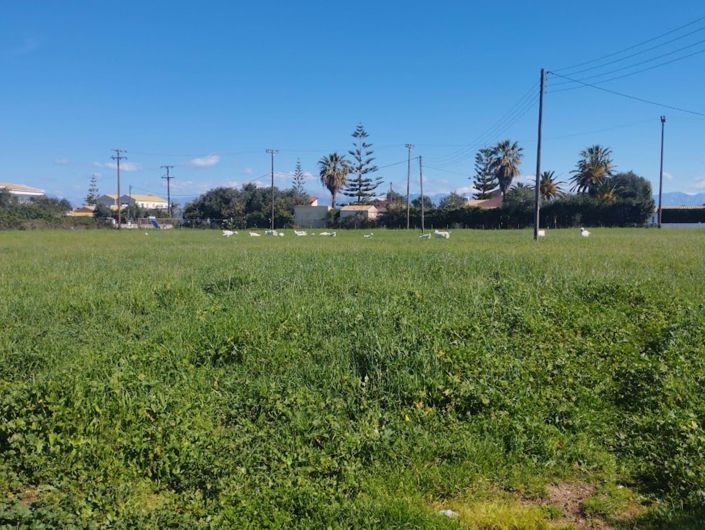 Image No.3-Terre à vendre à Corfou