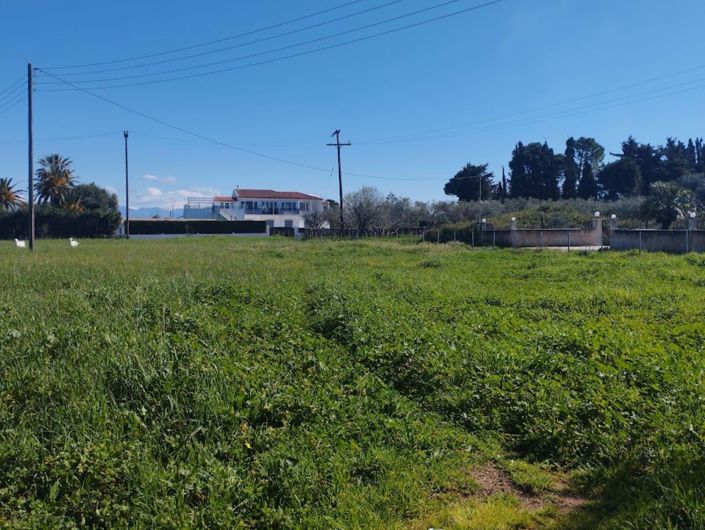 Image No.5-Terre à vendre à Corfou