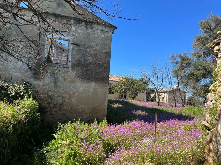 Image No.4-Property for sale