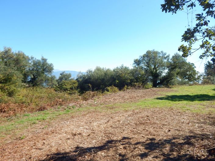 Image No.3-Land for sale