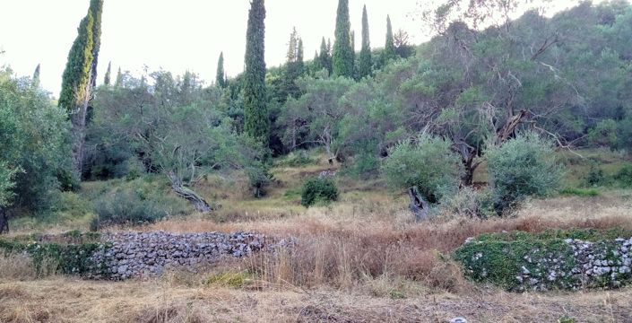 Image No.3-Land for sale