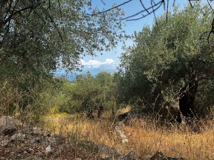 Image No.3-Land for sale