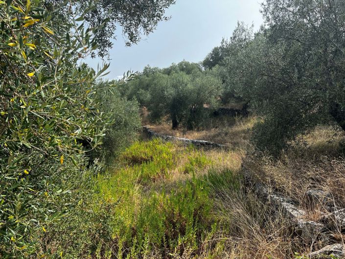 Image No.4-Land for sale