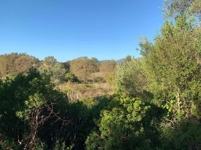 Image No.5-Land for sale