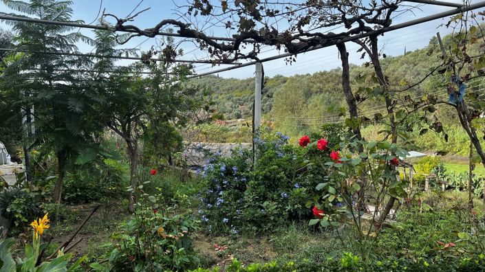 Image No.11-3 Bed House for sale