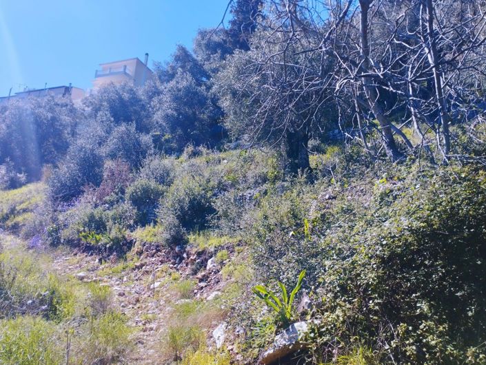 Image No.5-Terre à vendre à Kalámi