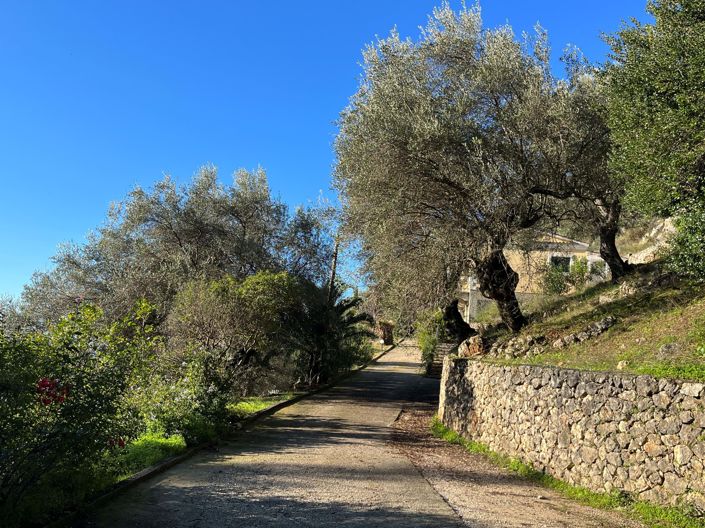 Image No.5-Maison à vendre à Barbati