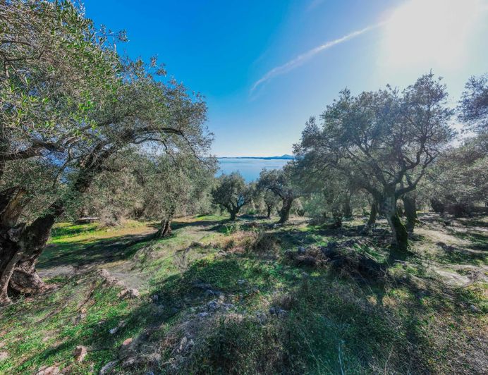 Image No.3-Land for sale