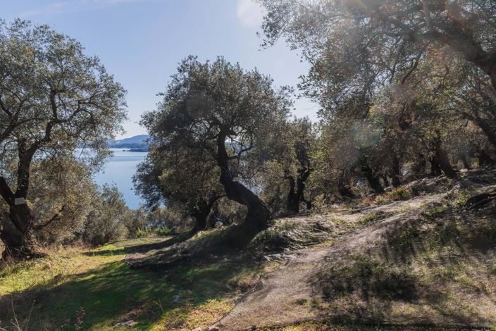 Image No.4-Land for sale