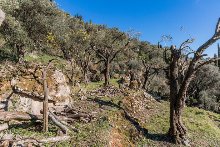 Image No.4-Land for sale