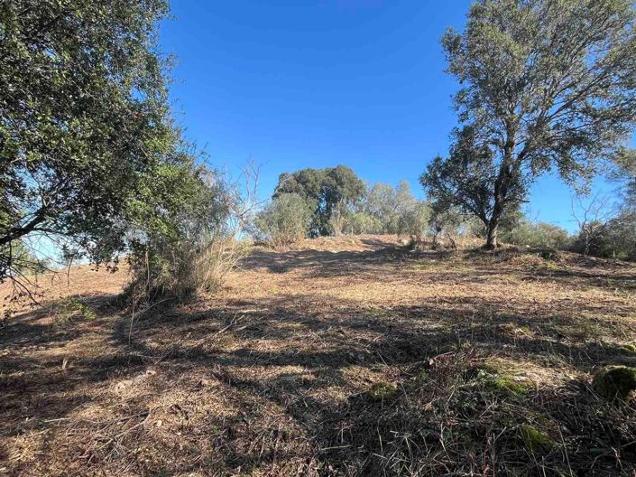 Image No.6-Land for sale