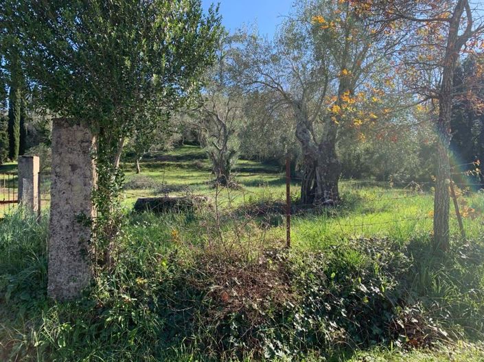 Image No.4-Terre à vendre à Ano Korakiana