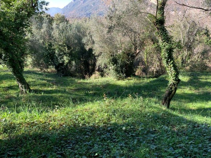 Image No.5-Terre à vendre à Ano Korakiana