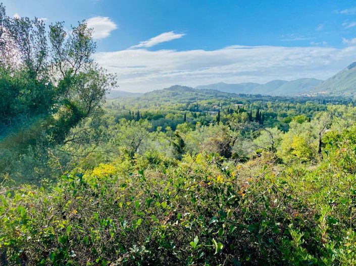 Image No.1-Land for sale