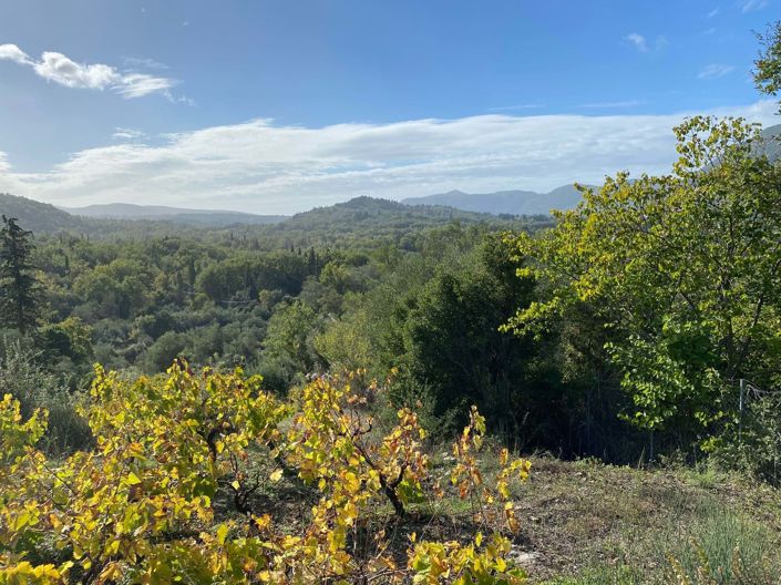 Image No.2-Land for sale