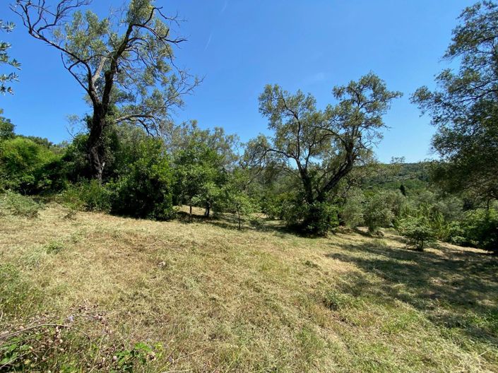 Image No.4-Land for sale