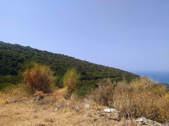 Image No.9-Land for sale