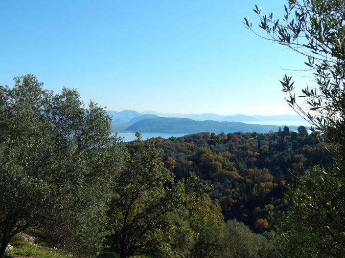 Image No.1-Land for sale