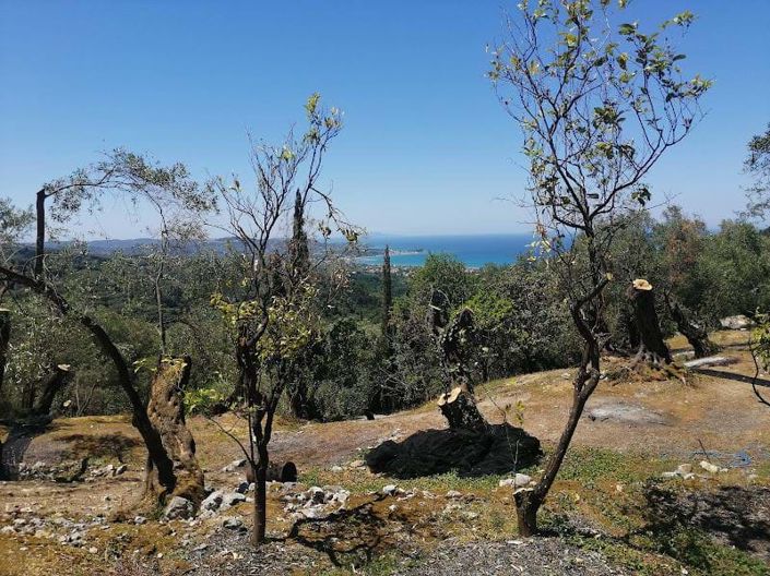 Image No.3-Land for sale