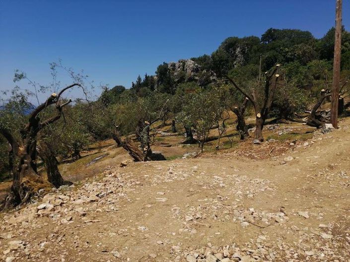 Image No.4-Land for sale