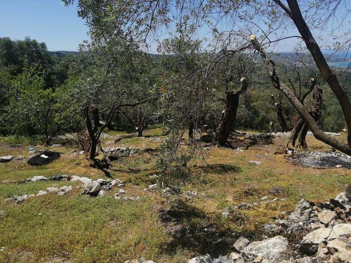 Image No.5-Land for sale