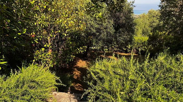 Image No.18-3 Bed House for sale