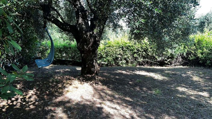 Image No.19-3 Bed House for sale