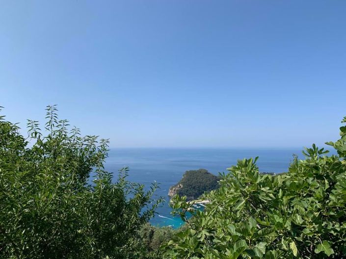 Image No.2-Terre à vendre à Corfou