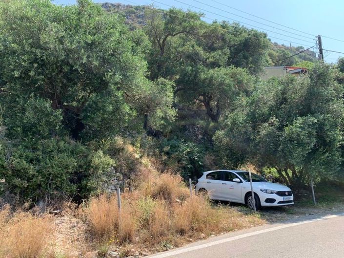 Image No.3-Terre à vendre à Corfou