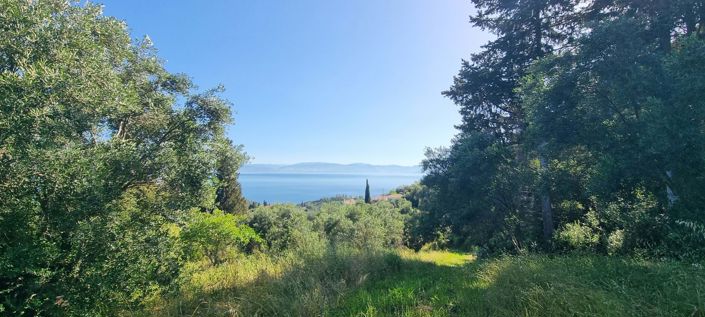 Image No.3-Terre à vendre à Corfou