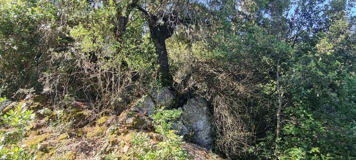 Image No.4-Terre à vendre à Corfou