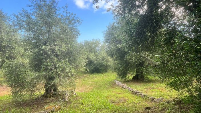 Image No.15-Maison de 3 chambres à vendre à Corfou