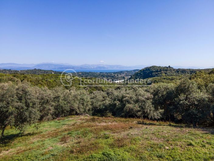 Image No.5-Terre à vendre à Corfou